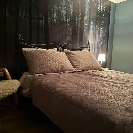 Voll Ausgestattete, Helle Ferienwohnung Auf 80 Qm Wutoschingen Exterior foto
